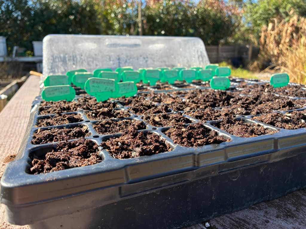 When Nothing Germinates: A Hard Lesson in Water, Oxygen, and&nbsp;Assumptions